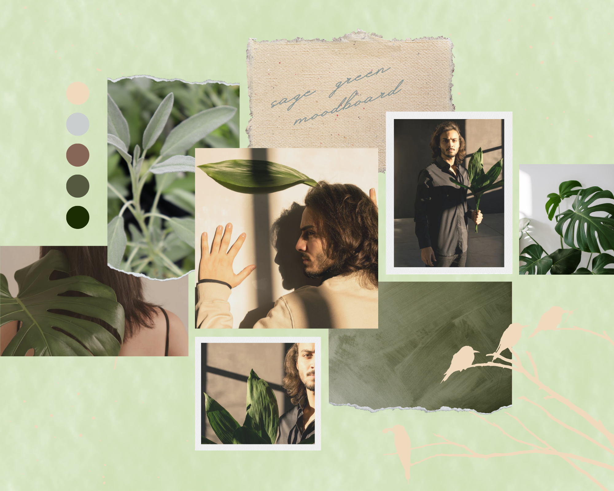 Sage Green Beige Color Palette Aesthetic - curated moodboard inspiration