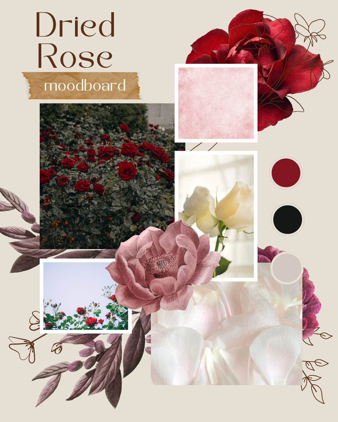 Dried Rose Aesthetic Color Palette - curated moodboard inspiration
