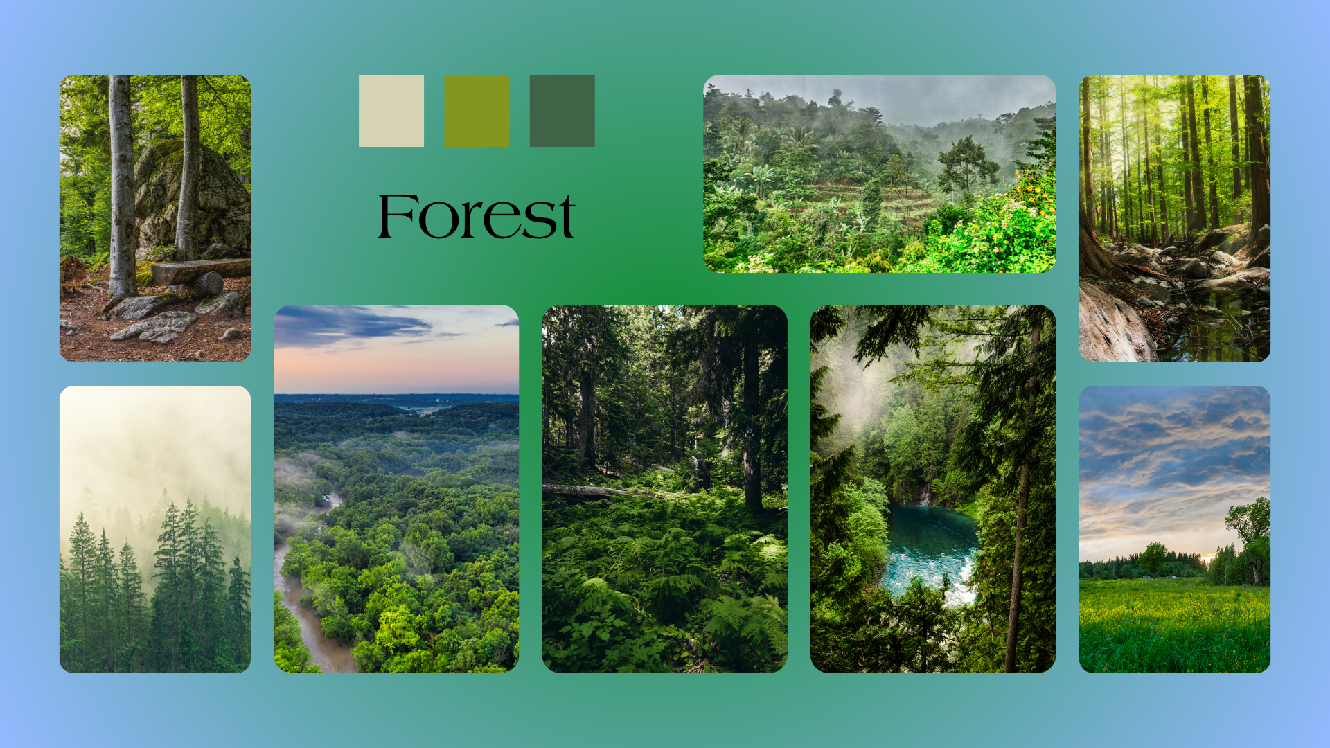Forest Green Color Palette - curated moodboard inspiration