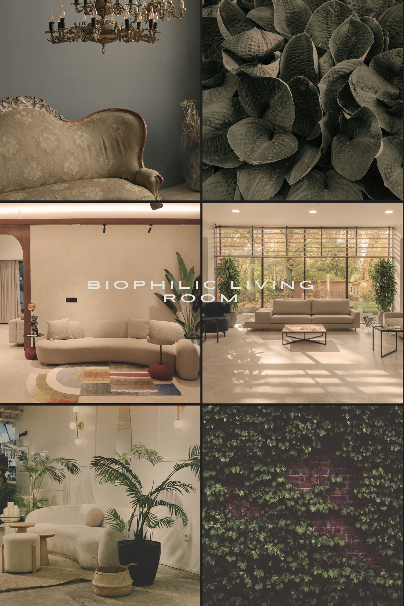 Biophilic Interior Design Living Room - curated moodboard inspiration