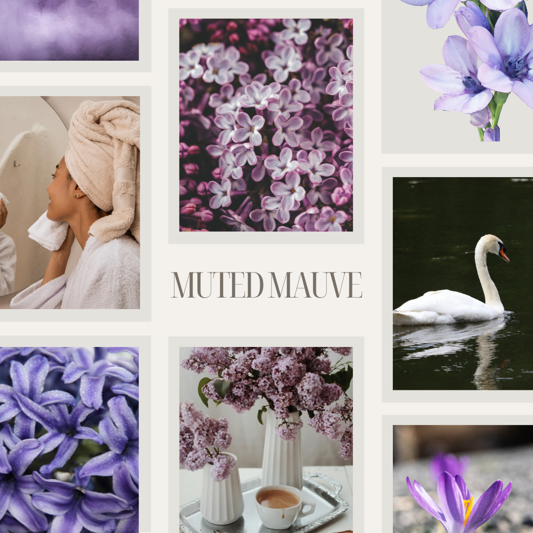 Muted Mauve Modern Color Palette - curated moodboard inspiration