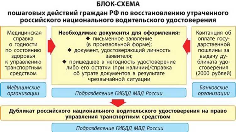 Как восстановить документы на дом при утере. Восстановления документов организации.