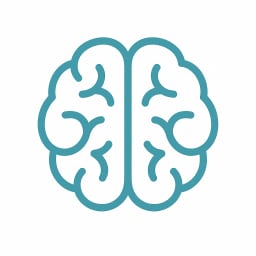 AI Implementation & Integration icon