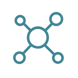 Network & Infrastructure Engineering icon
