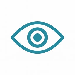 Accessibility & Compliance Testing icon