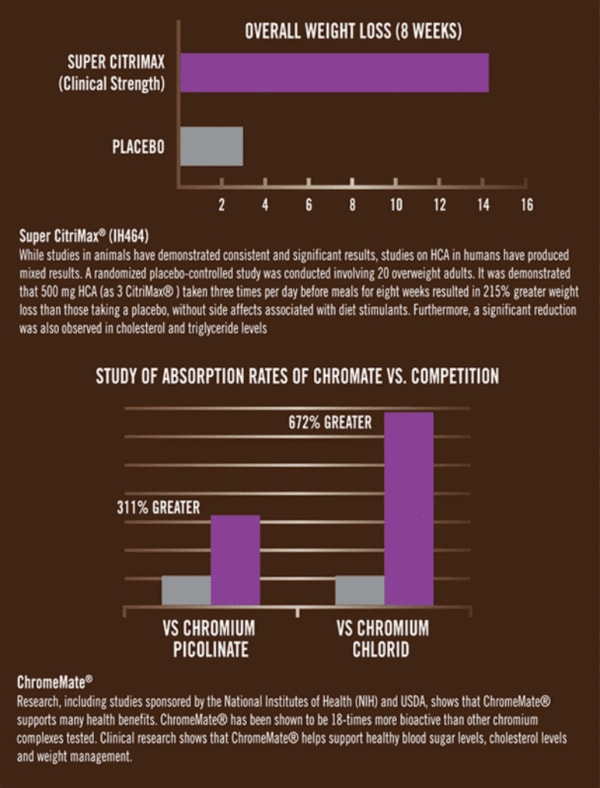 Fogyókúrás kávé - Lean Java Bean - Image 4