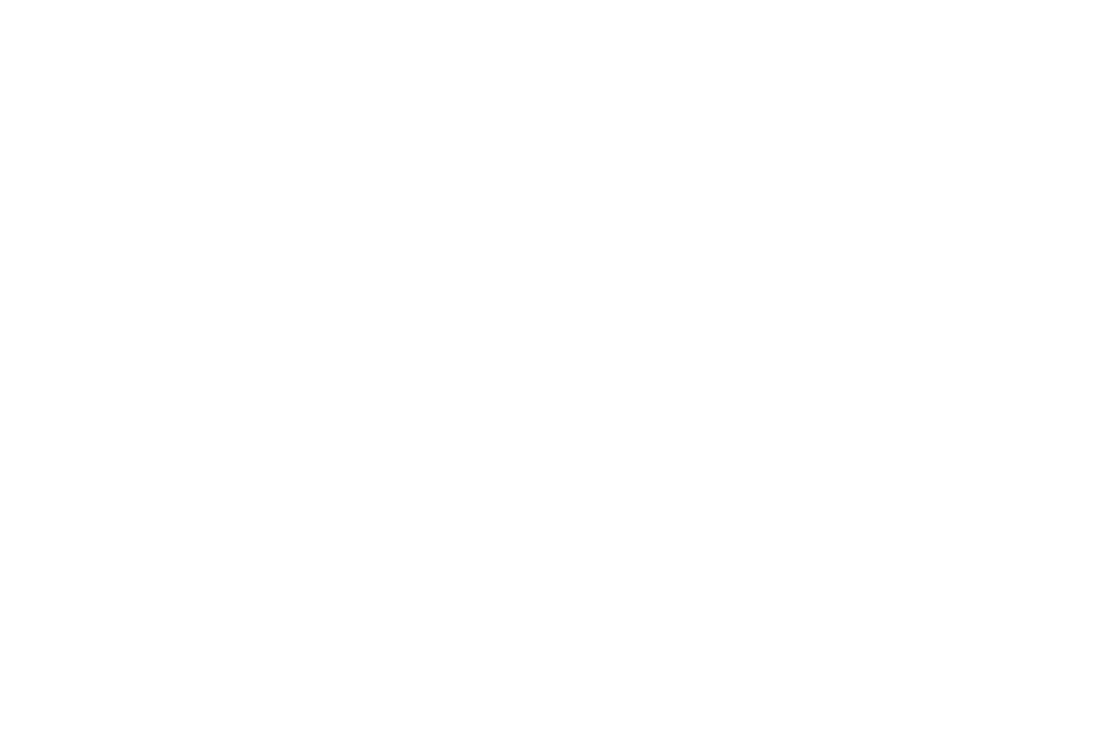 Walrus Rodeo