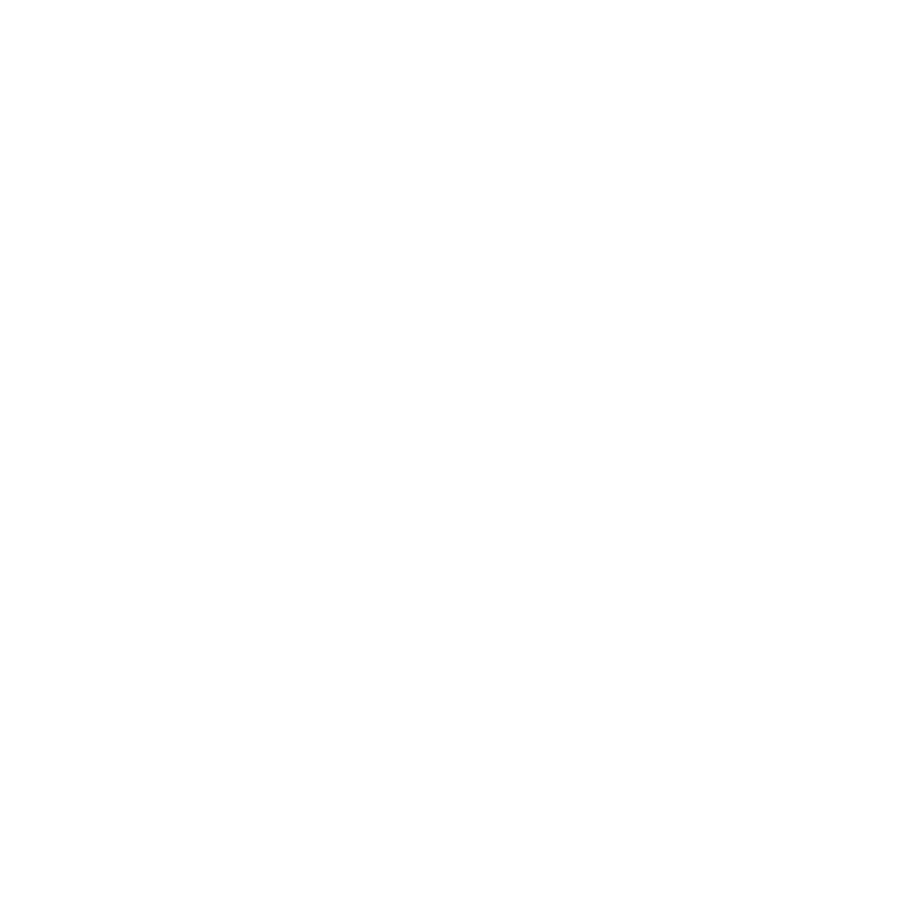 Crazy Pizza New York City