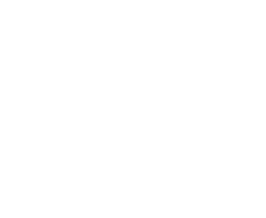 Socialista Ibiza