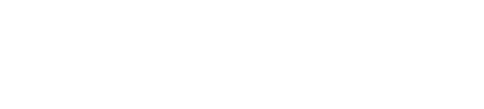 Wild Tavern