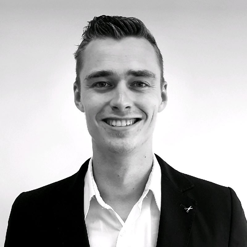 Professional portrait