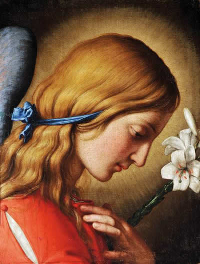 Angeli dell'amore