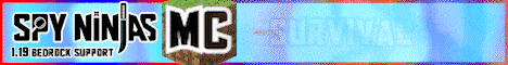 minecraft.spyninjas.net
