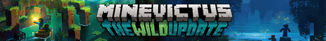us.minevict.us