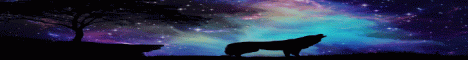 mc.dimensionals.net:27023