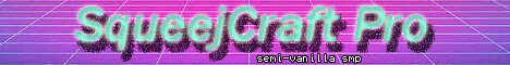 squeejcraft.pro