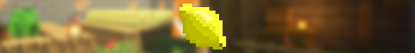 play.lemonsmp.fun