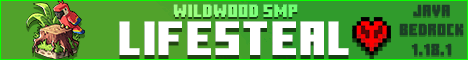 wildwoodsmp.com