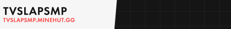 tvslap.minehut.gg