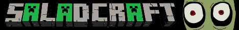 play.saladcraft.net