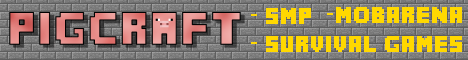 mc.pigcraft.net