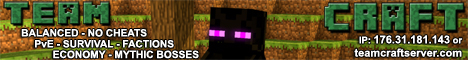 teamcraftserver.com