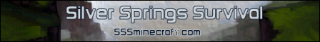 sssminecraft.com