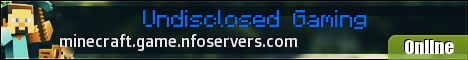 minecraft.game.nfoservers.com