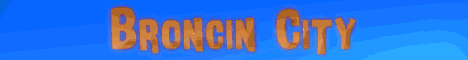 Hub.Broncin.net