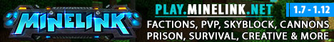 play.minelink.net