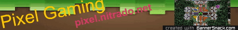 pixel.nitrado.net