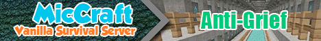 server1.miccraft.com