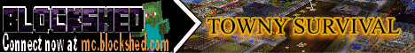 mc.blockshed.com