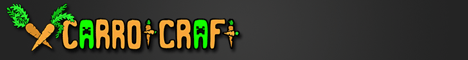 mc.carrotcraft.net