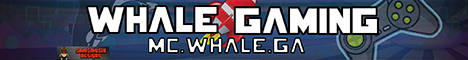 mc.whale.ga