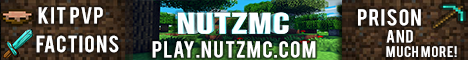 play.nutzmc.com