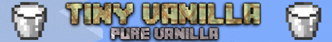 mc.tinysmp.net