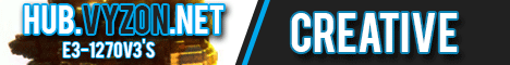 hub.vyzon.net