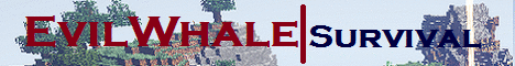 minecraft.evilwhale.nl