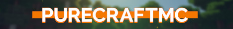 play.purecraftmc.com