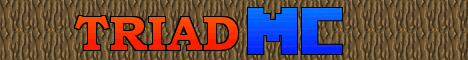triad.beastmc.com
