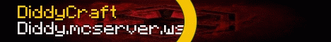 Diddy.mcserver.ws