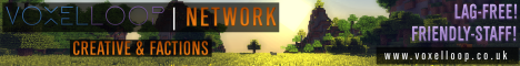 vl1.voxelloop.co.uk