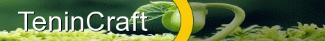 tenincraft.enjin.com/