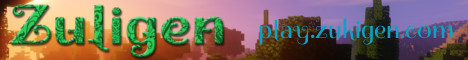 p.zuligen.com