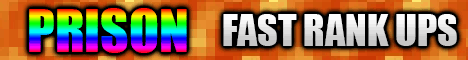 play.dancraft.net