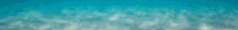play.atlanticnetwork.org