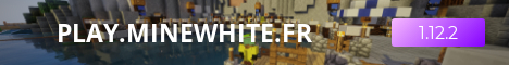 play.minewhite.fr