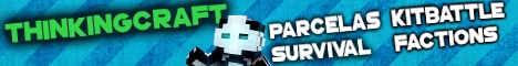 thinkingcraft.tk