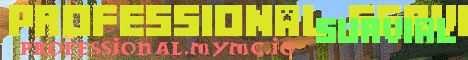 professional.mymc.io